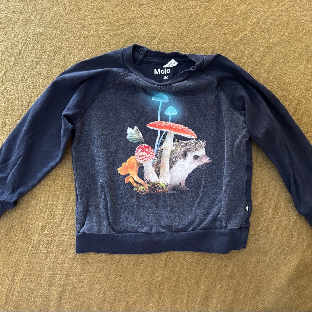 Molo Kids Mushroom Sweatshirt